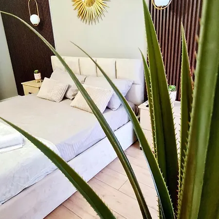 Daire Premium Beachfront Residences