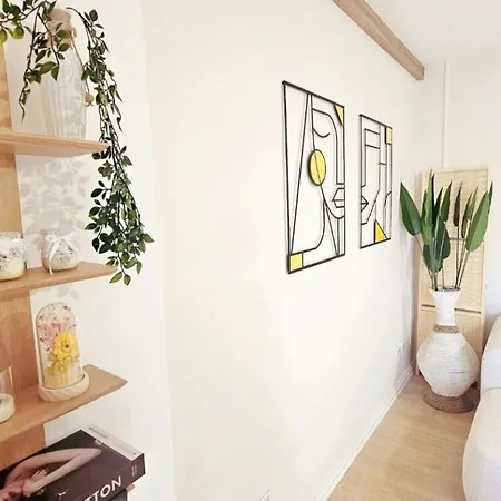 Premium Beachfront Residences